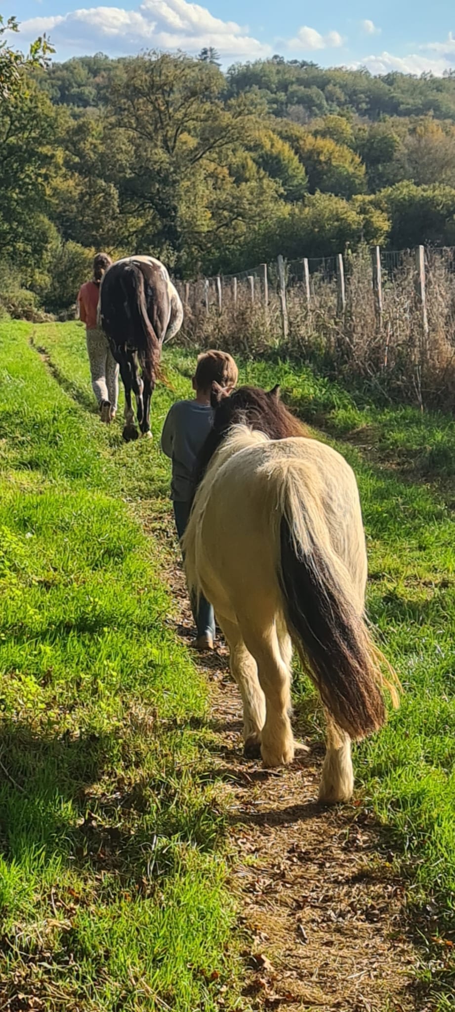 2 chevaux promenés par 2 enfants à pied sur les chemins